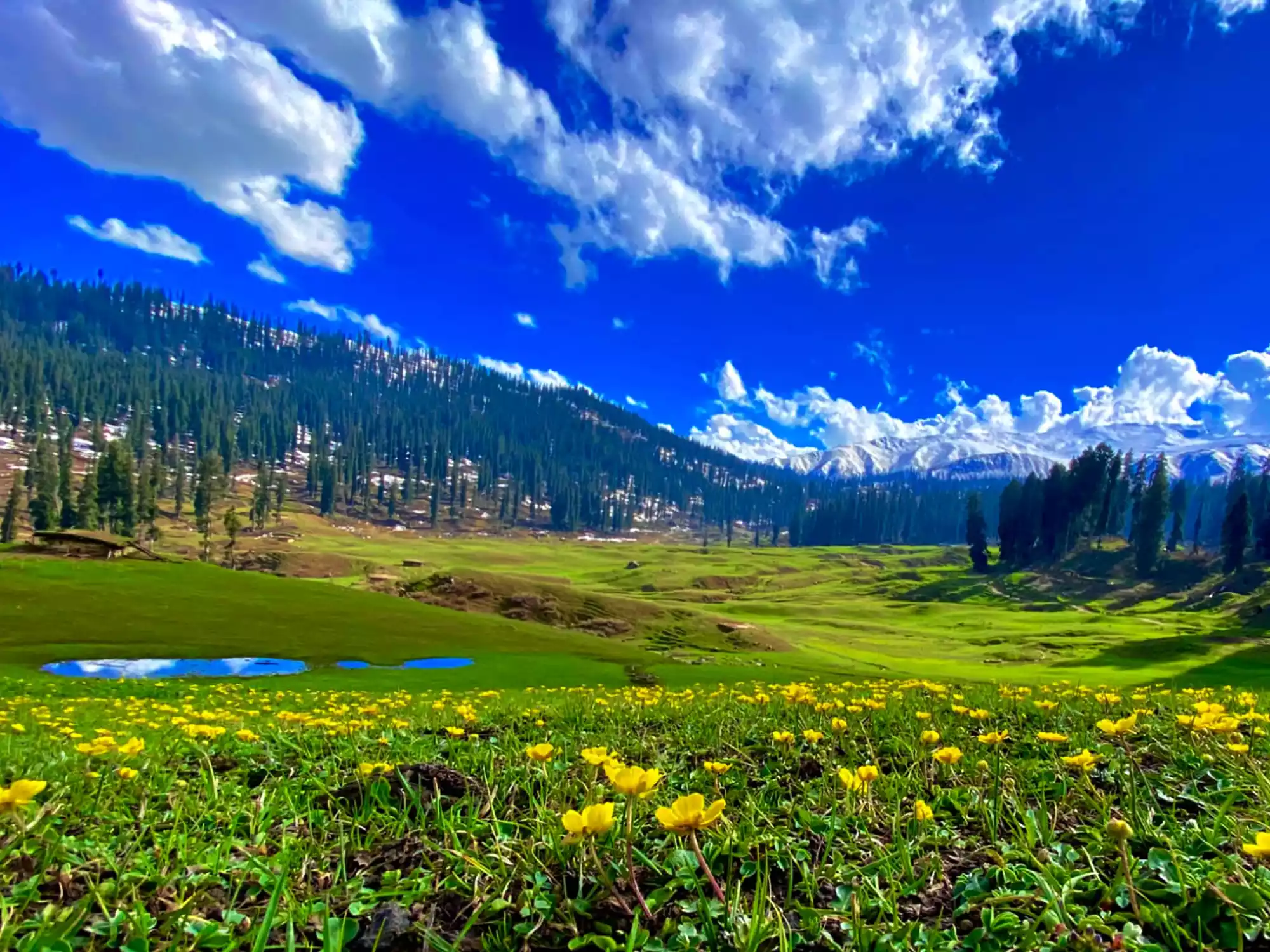 Exploring the Enchanting Land of Kashmir
